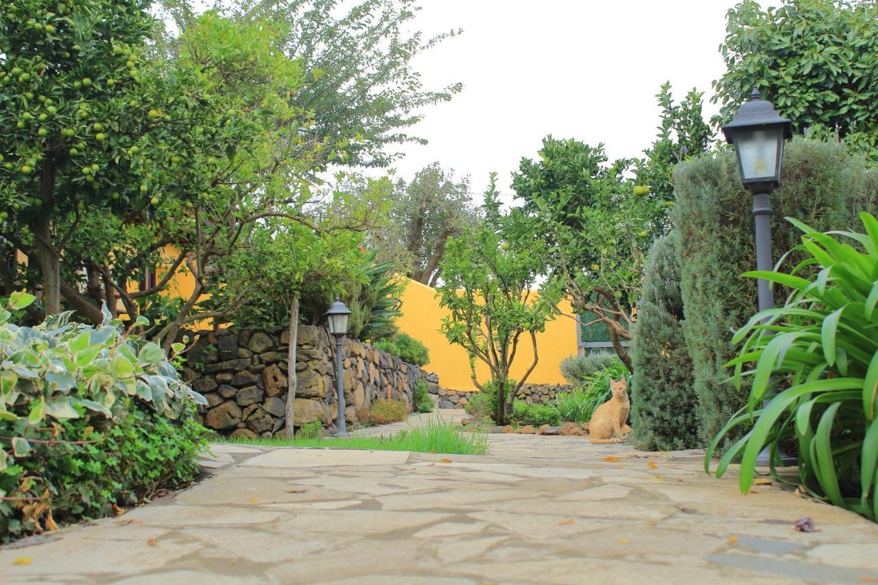 Finca La Majadera El Rosario  Zewnętrze zdjęcie